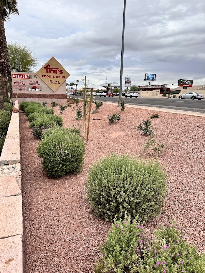 Fry's Plaza sign beside landscaped desert shrubs.