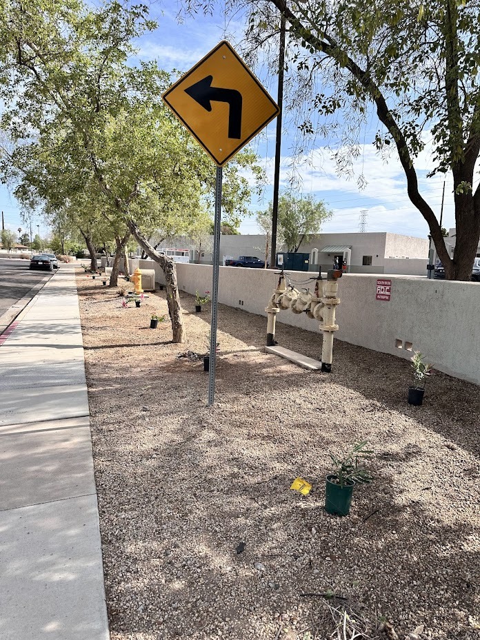 Left turn sign on gravel sidewalk with plants.