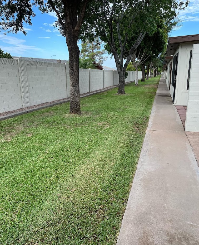 Sidewalk beside green lawn and trees