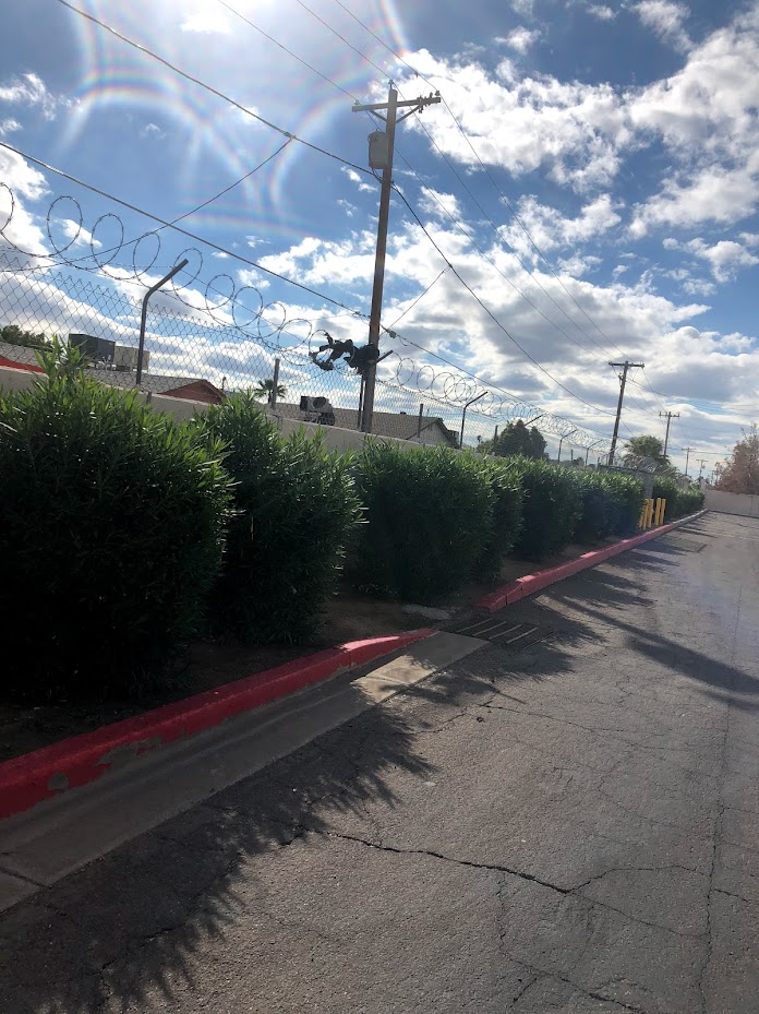 Sunny street with bushes and barbed wire fence.