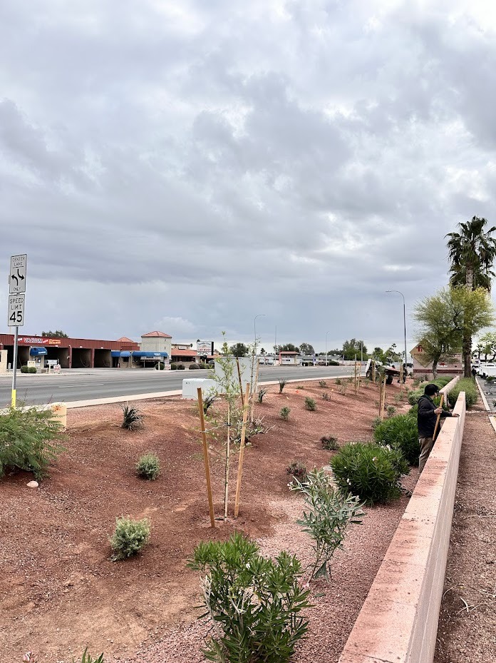 Roadside desert landscaping under cloudy sky