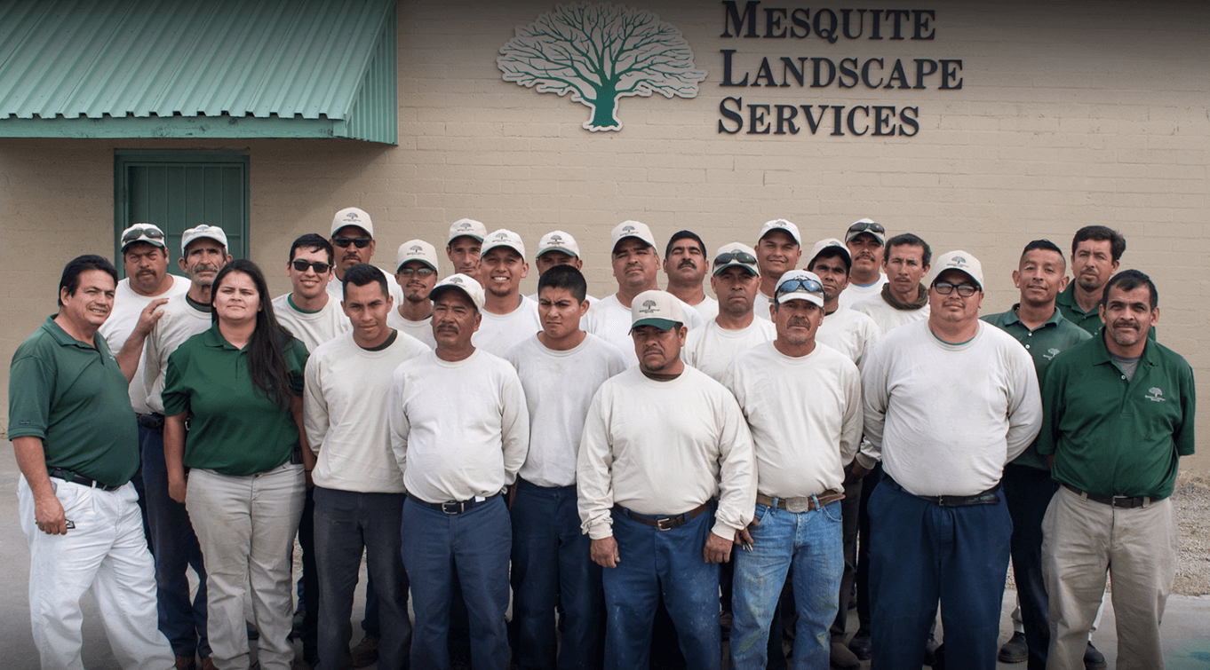 Landscape company team in uniform posing together.