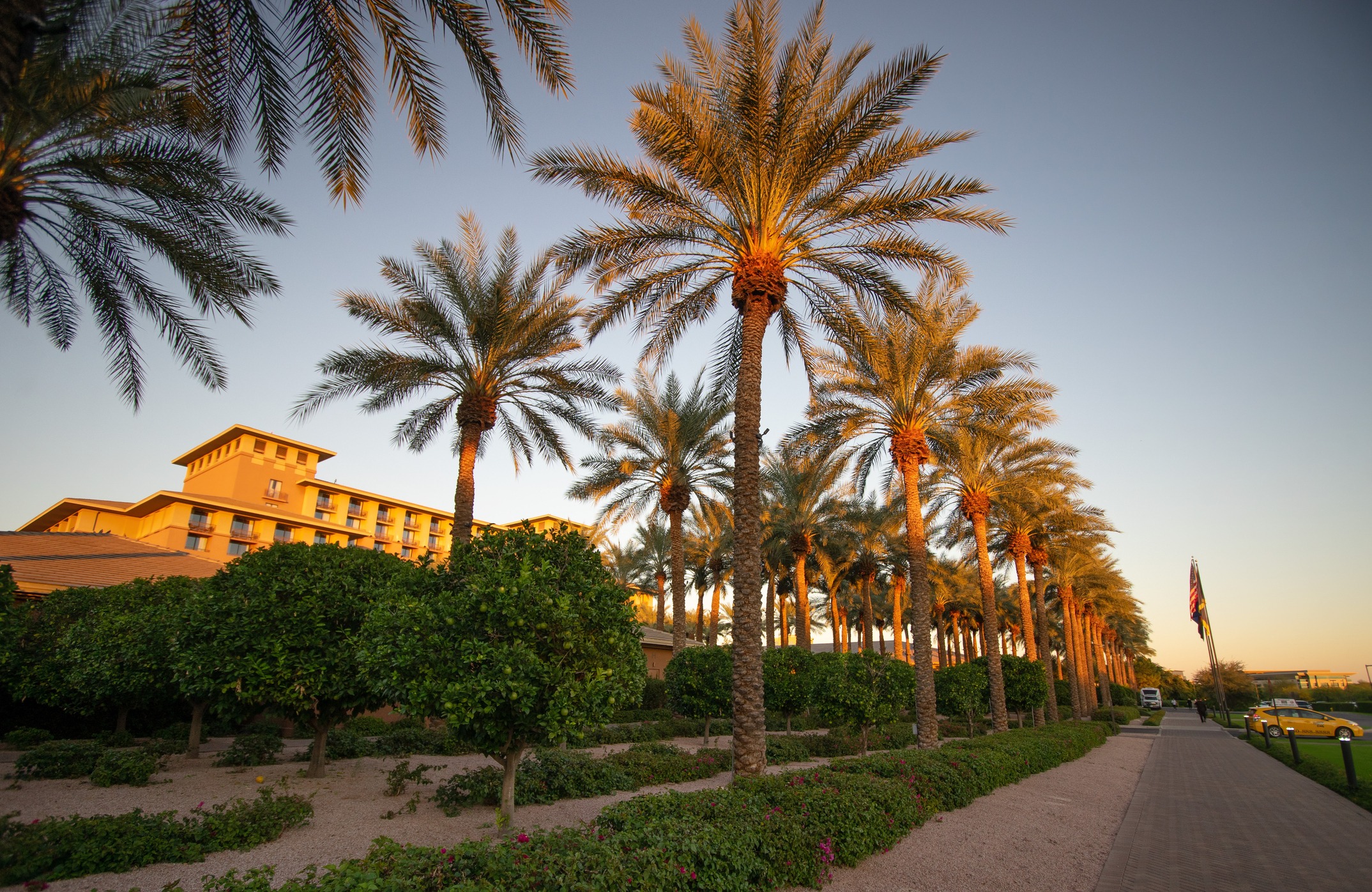 Palm trees at sunset near a resort.