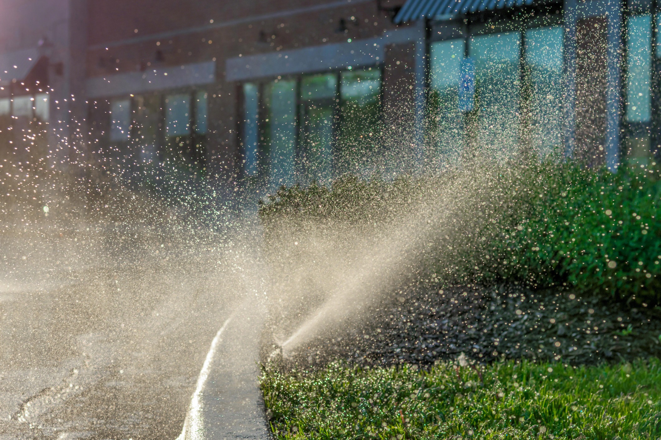 Water sprinkler spraying on lawn near building