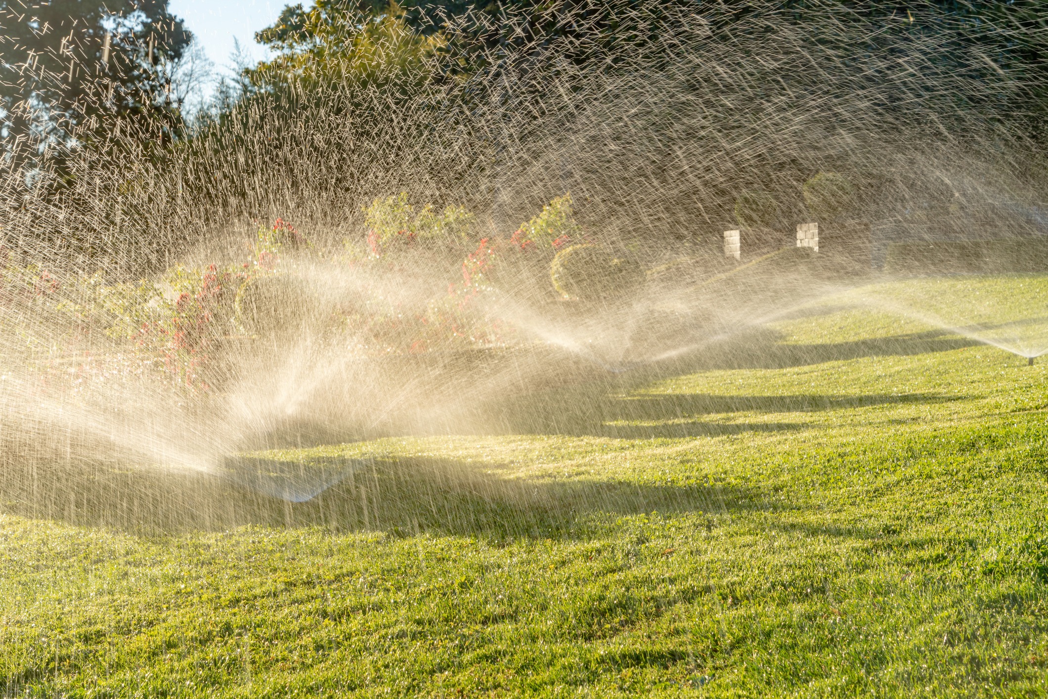 Lawn sprinkler watering grass in sunny garden.