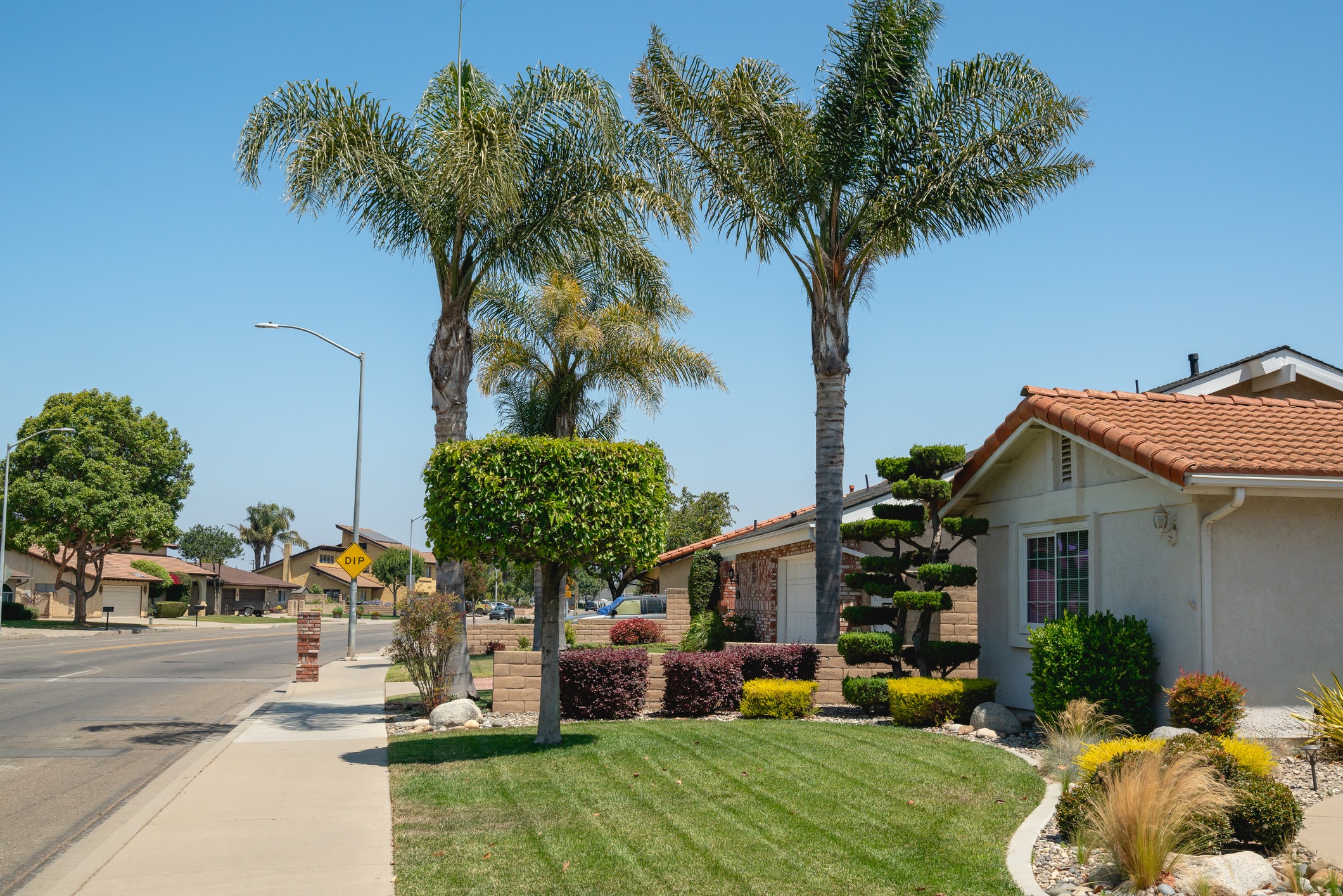 Suburban street with palm trees and houses.