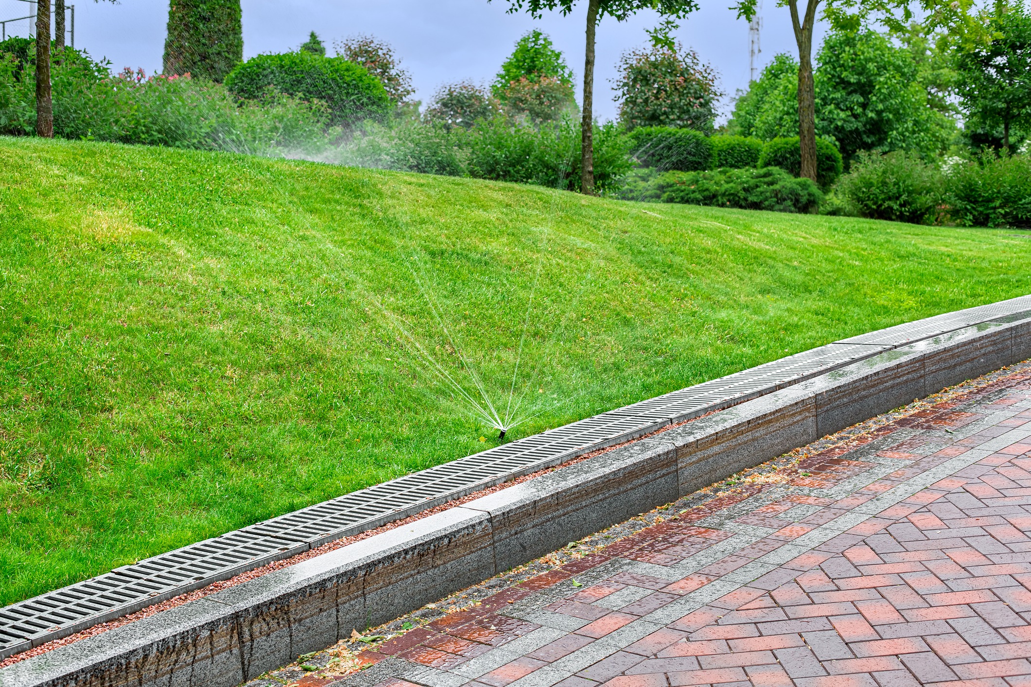 Lawn with sprinkler system and brick walkway