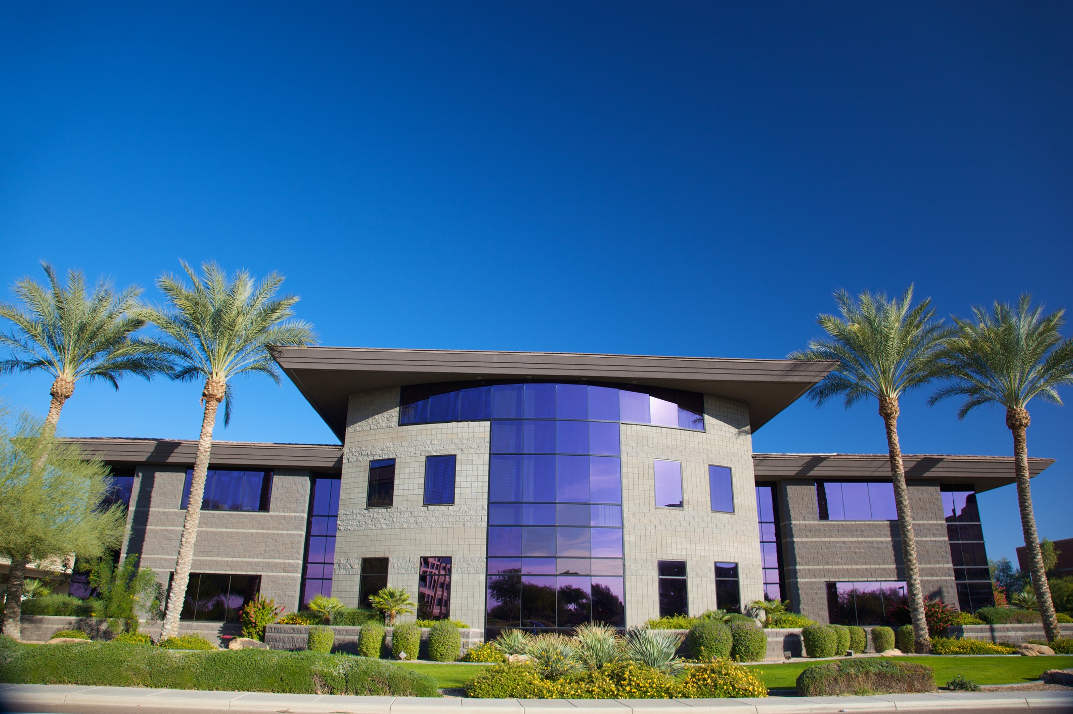 Modern building with palm trees and blue sky