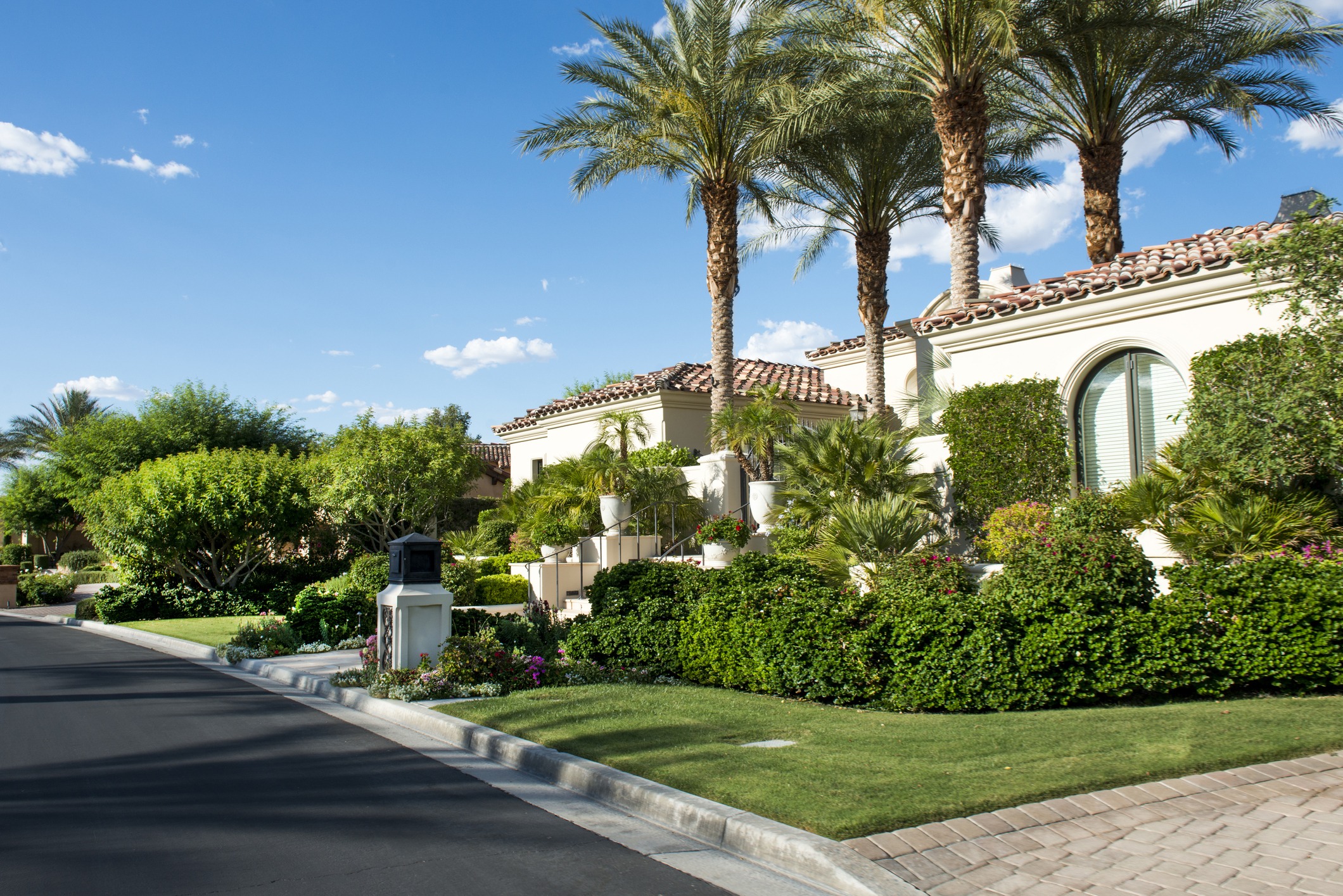 Suburban house with palm trees and garden