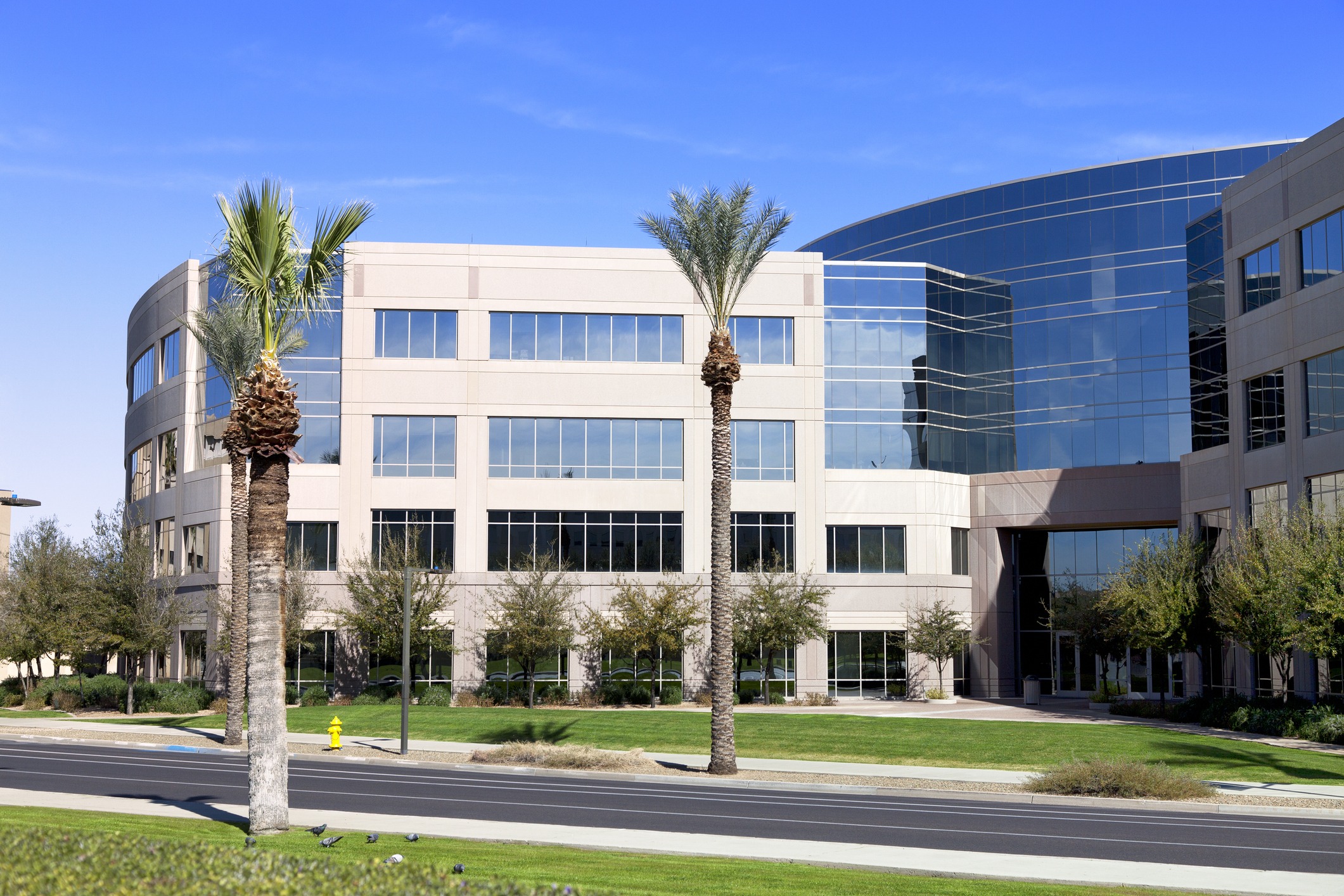 Modern office building with palm trees and glass facade.