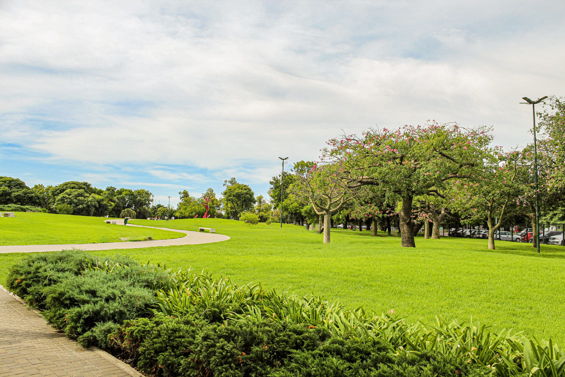 Lush park with grassy fields and trees under sky.