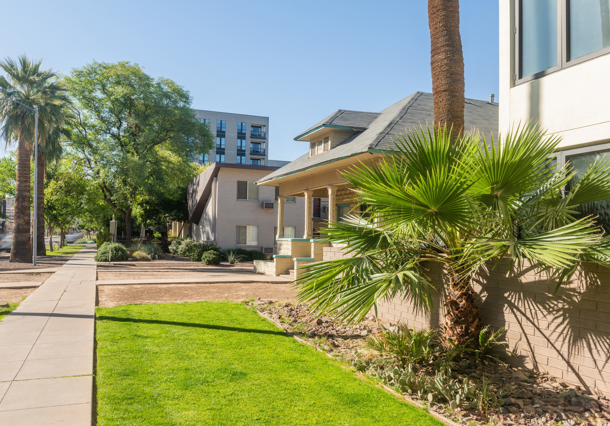 Residential neighborhood with palm trees and modern buildings.