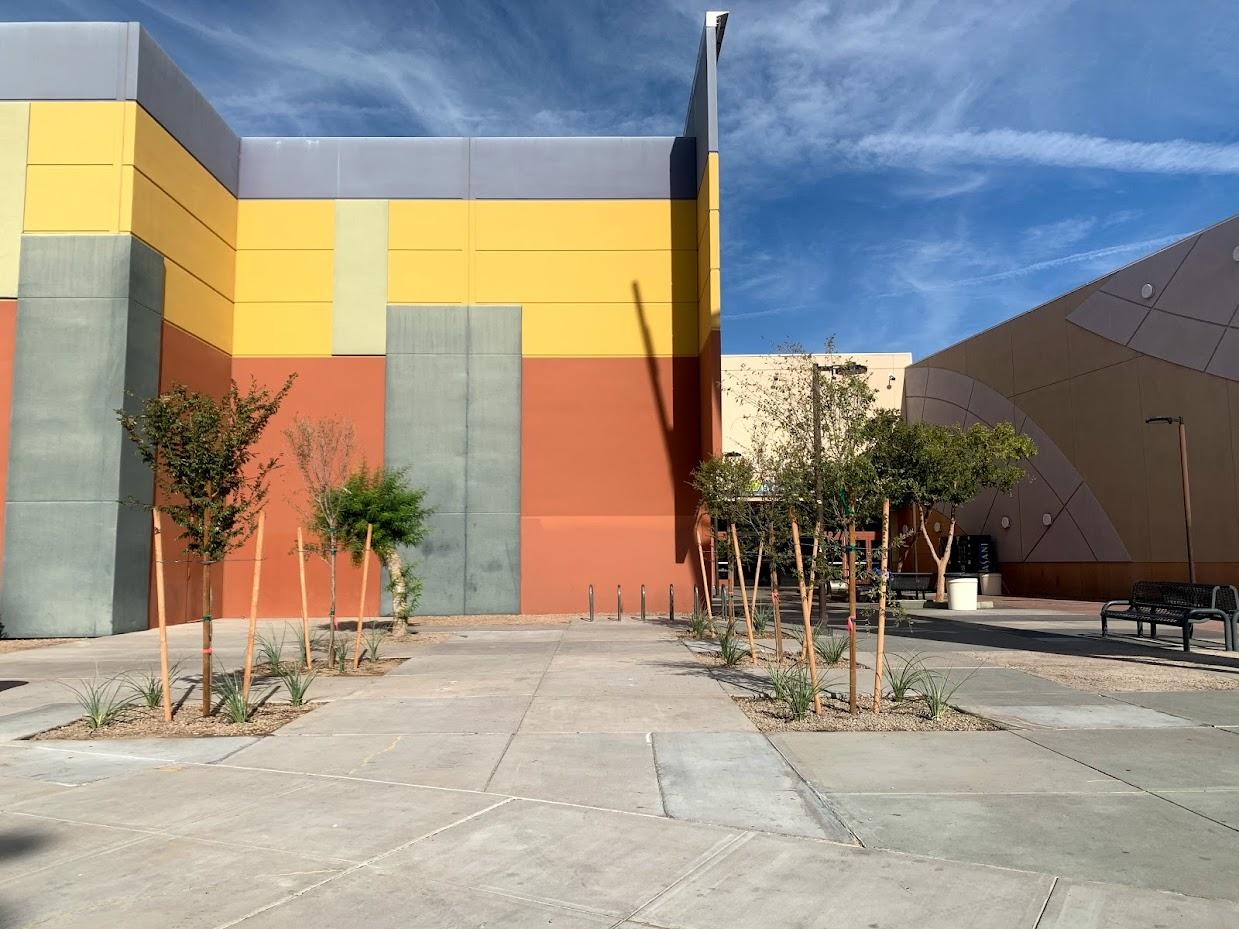 Colorful retail building exterior with yellow and terracotta panels and young trees in concrete plaza