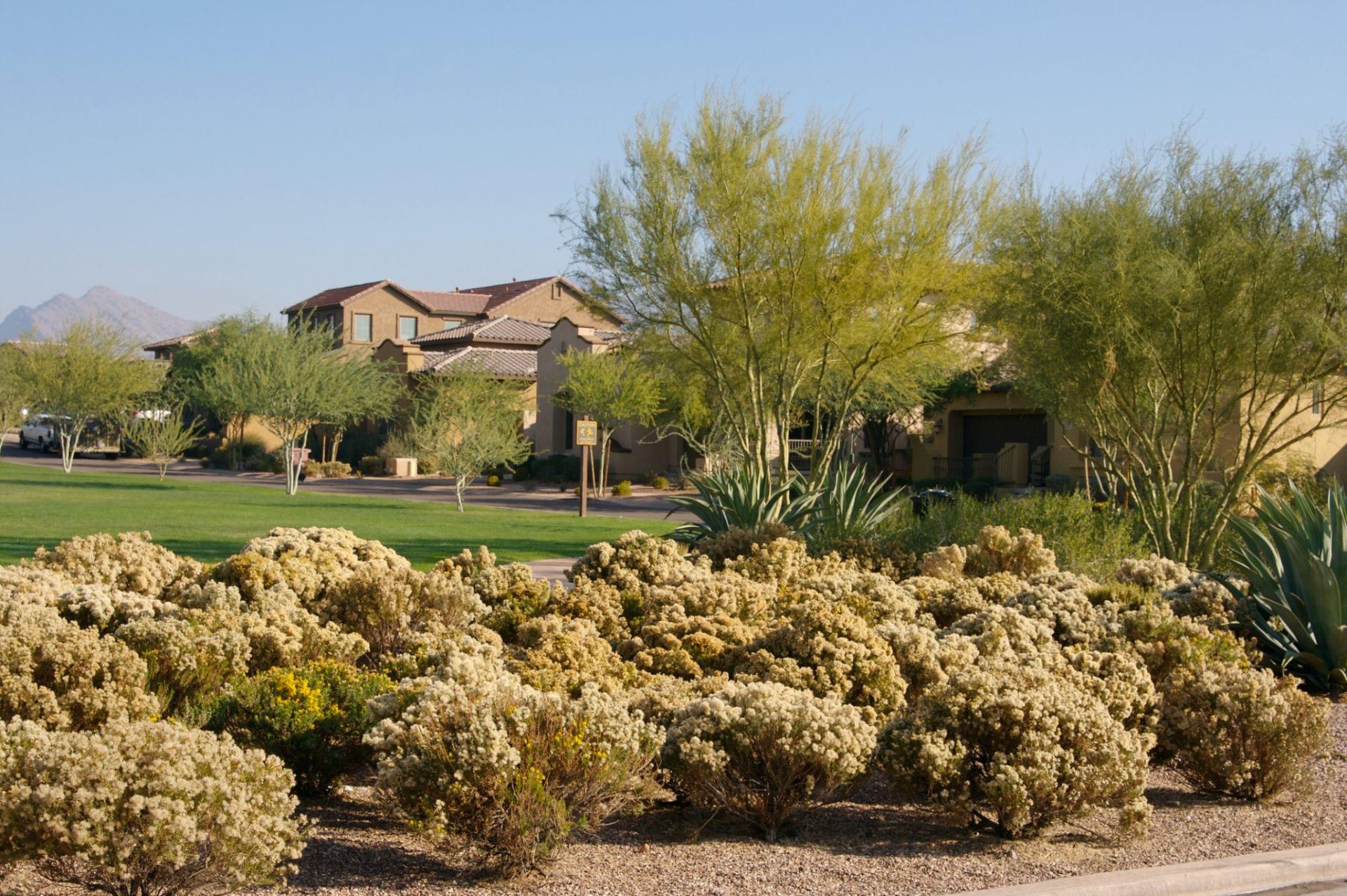 Large mission revival style tract homes surround a common green in a suburb in north Scottsdale,AZ