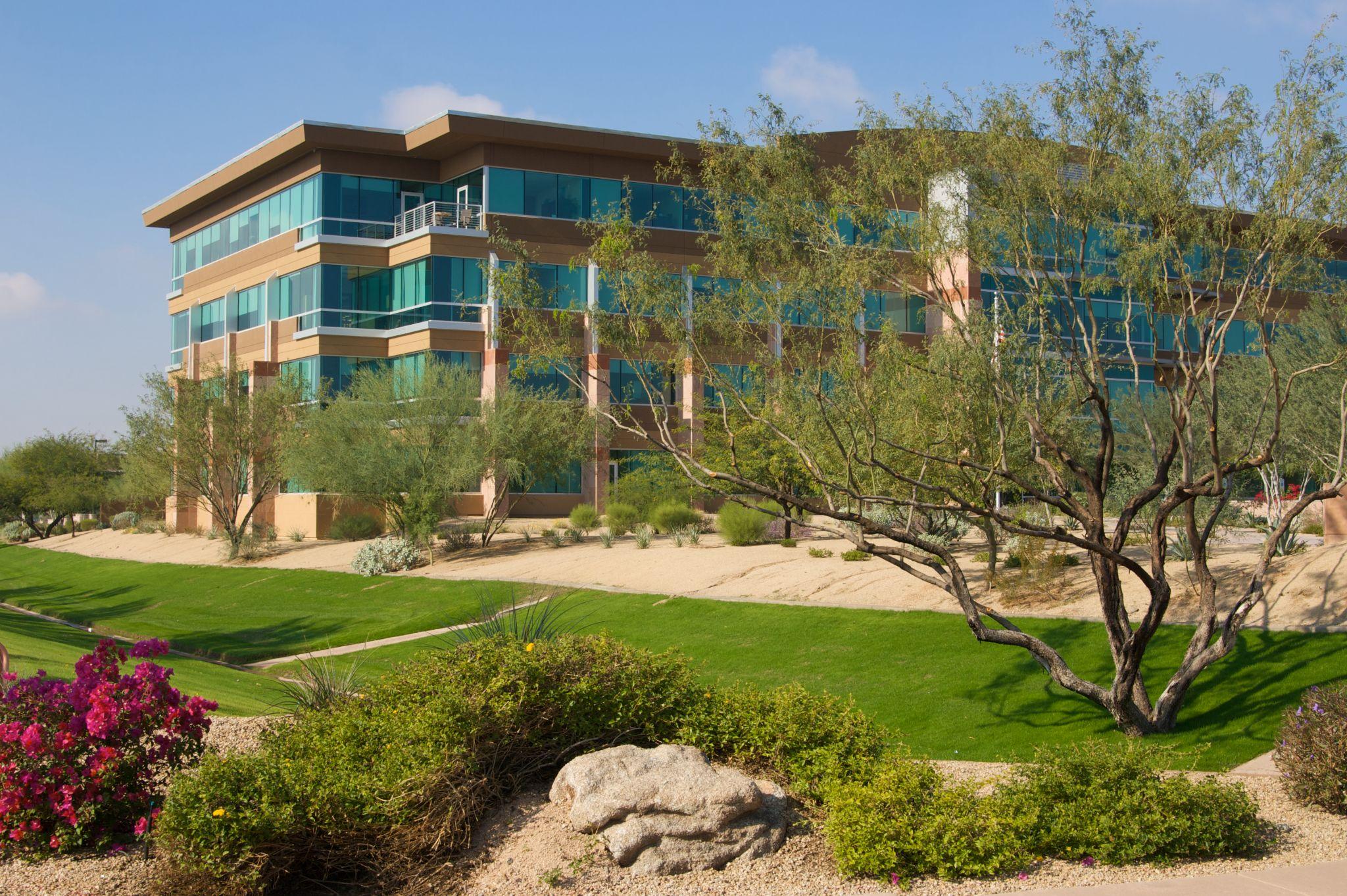 Lush desert landscaping with bougainvillea and trees surrounding an Arizona office building