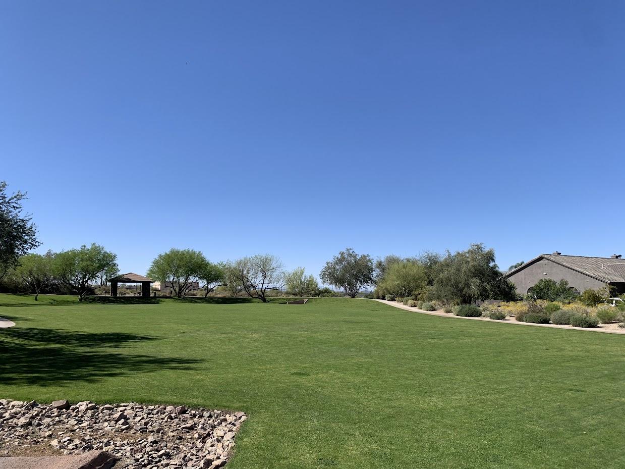 Open green lawn with a shaded ramada and desert plantings under a clear blue sky