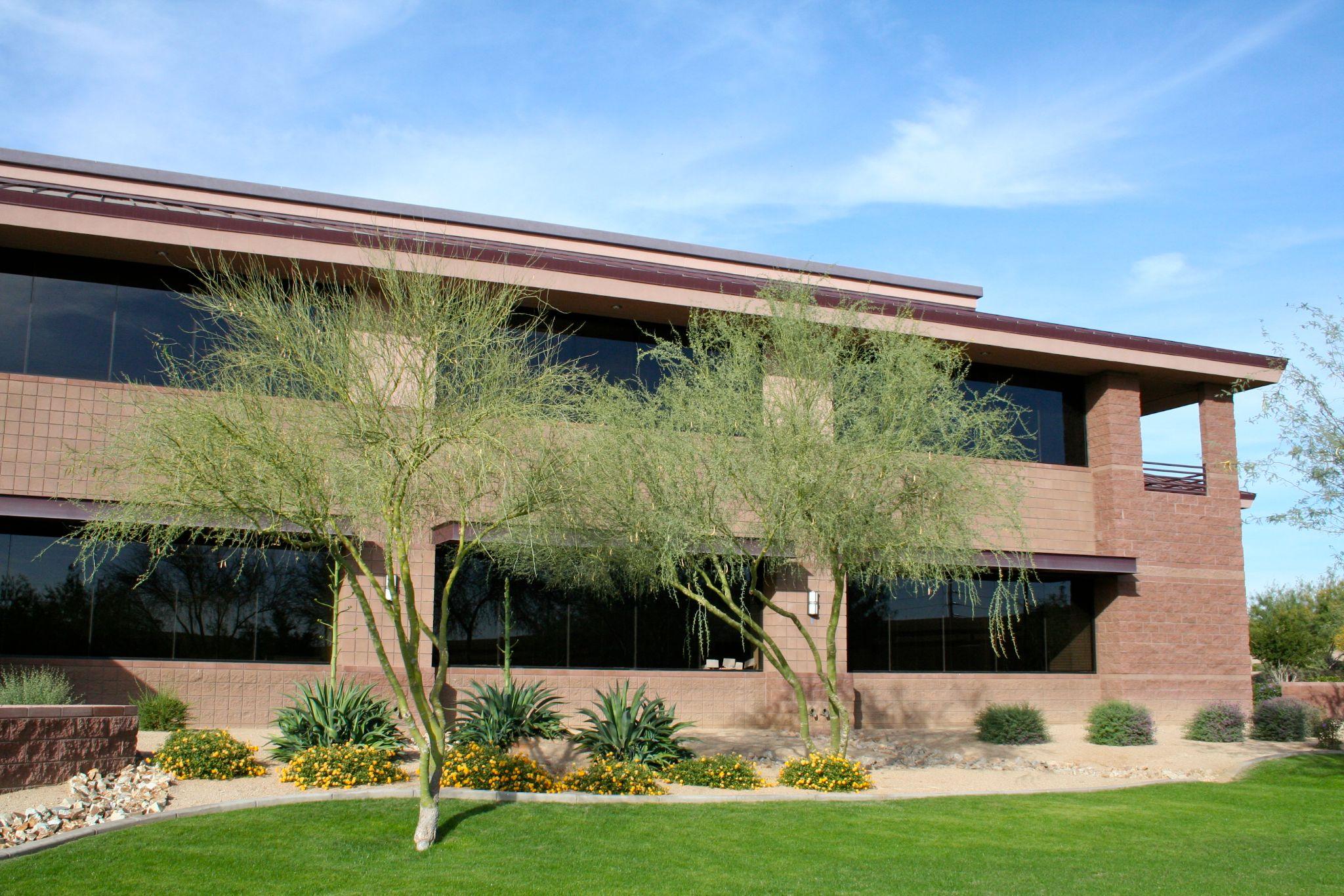 Palo verde trees and desert plantings in front of an Arizona commercial building"