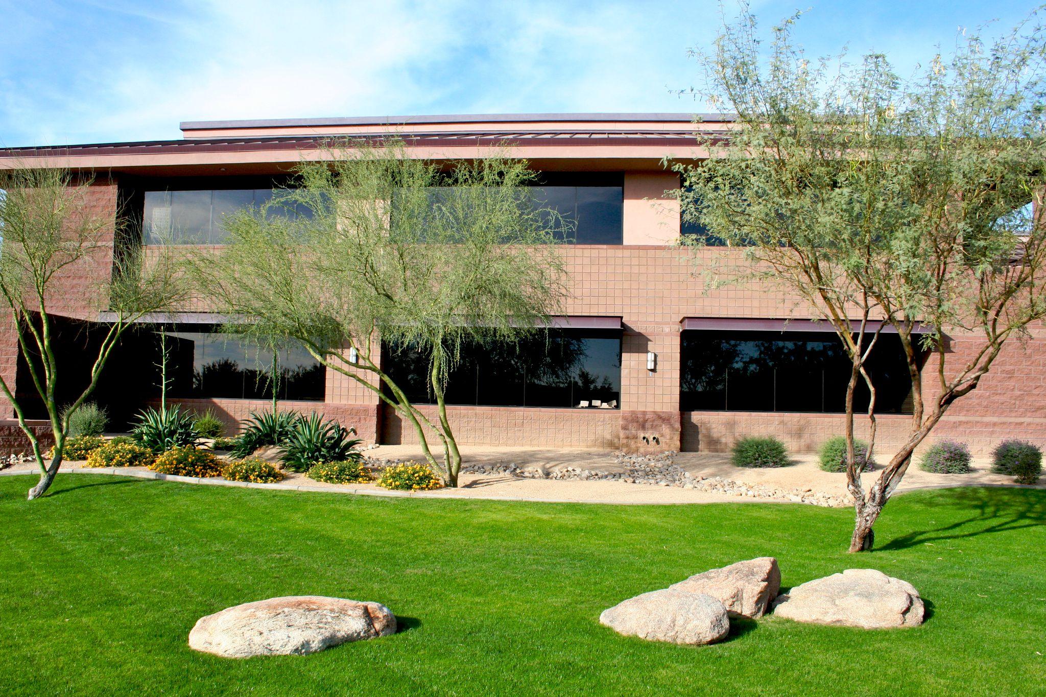 Well-maintained palo verde trees and desert landscaping in front of a commercial building